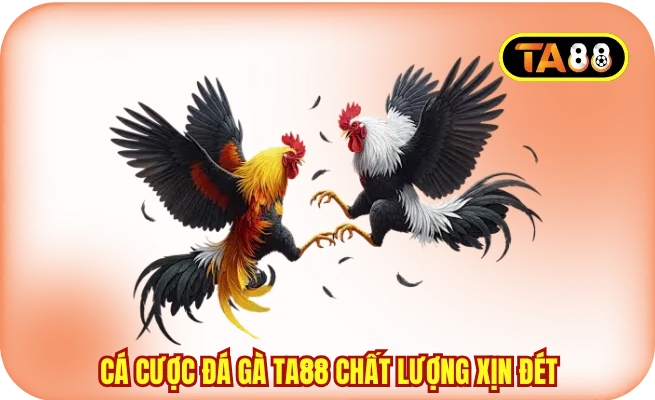 Cá cược đá gà TA88 chất lượng xịn đét