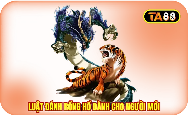 Tìm hiểu luật đánh Rồng Hổ dành cho người mới